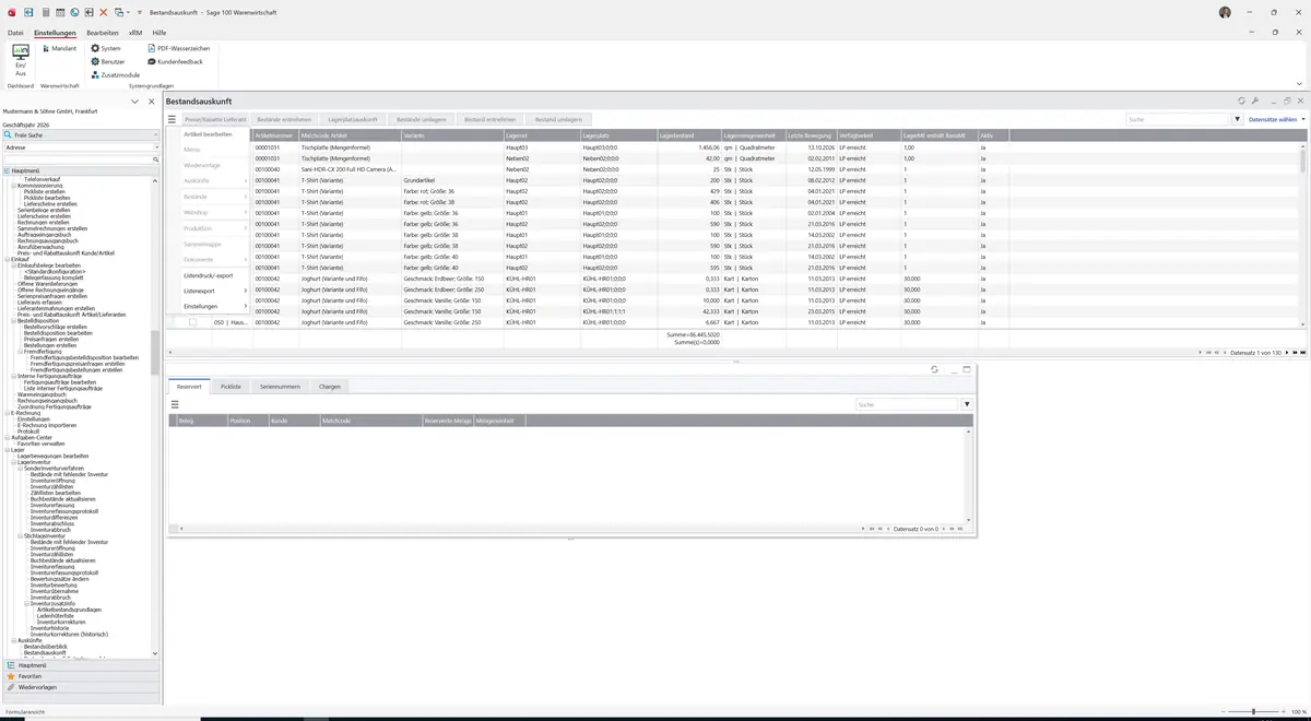Sage 100 9.0.5.11 Bestandsauskunft: Datenklassenmenü