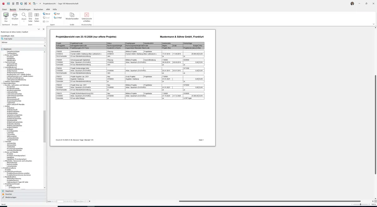 Sage 100 9.0.5.11 Projektübersicht: Bericht Vorschau