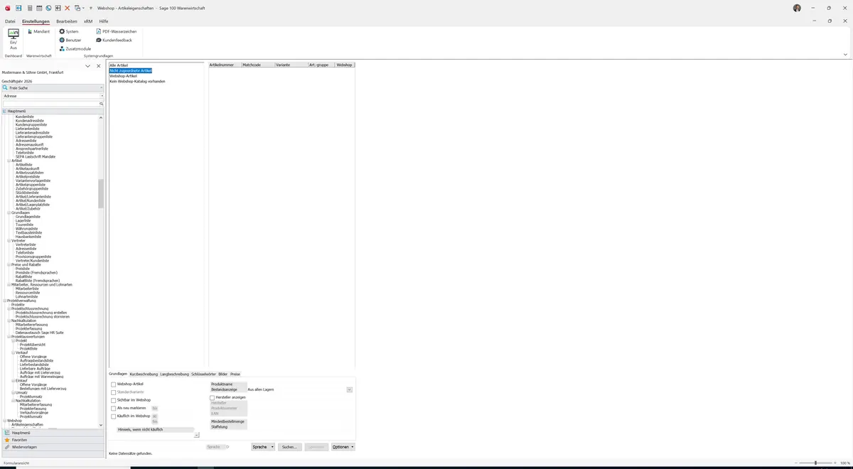 Sage 100 9.0.5.11 Webshop - Artikeleigenschaften: Maske Webshop - Artikeleigenschaften