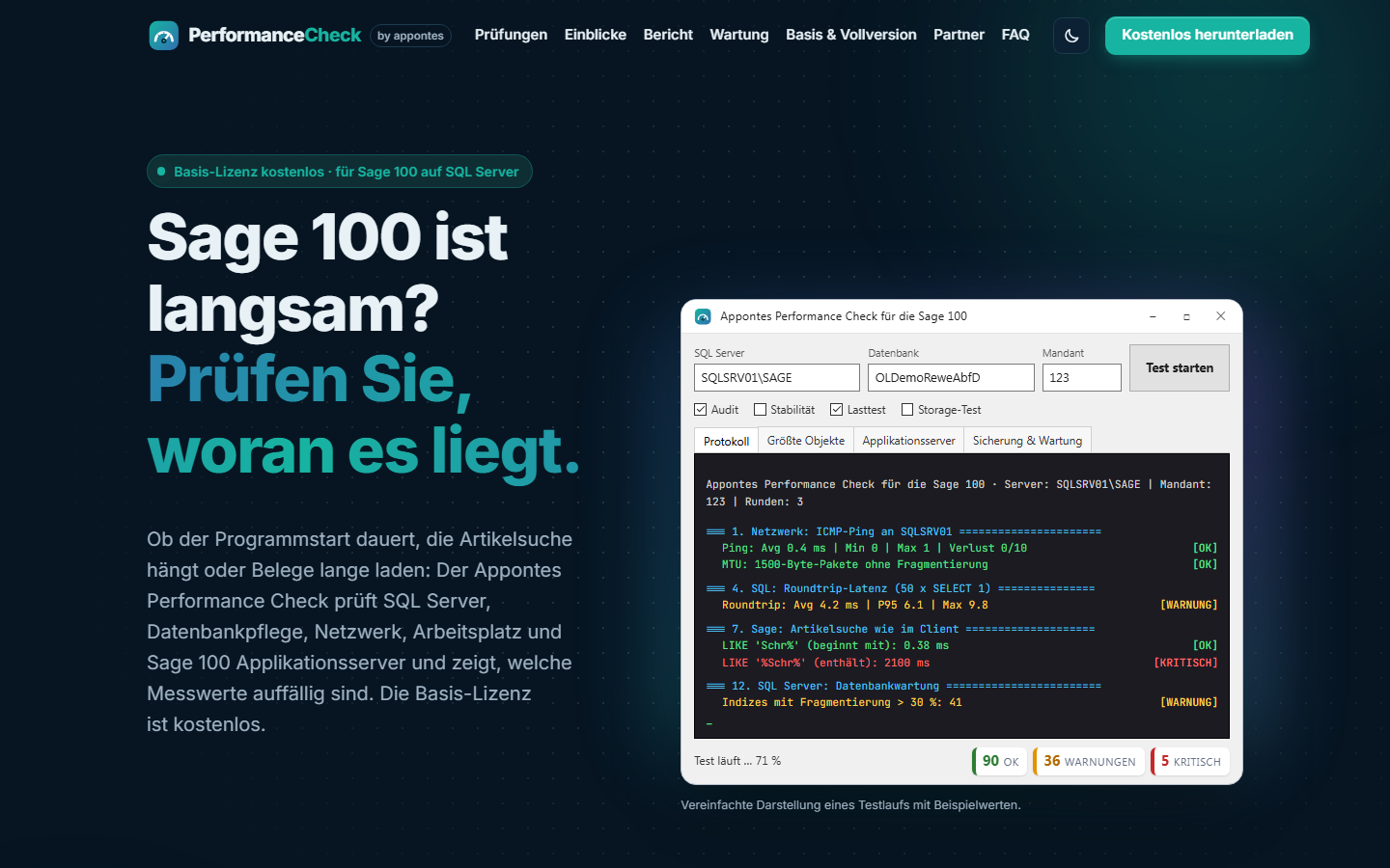 Startseite der Projektseite erp-performance.de mit Programmfenster des Performance Checks und Download-Button